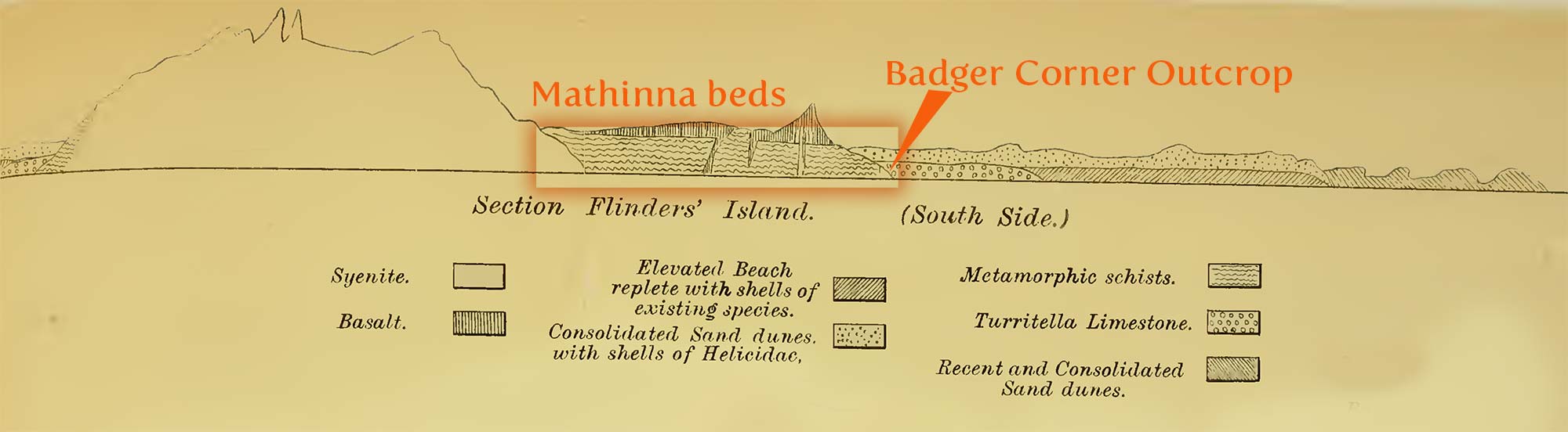 badger corner profile