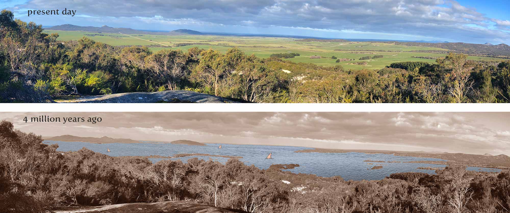 camerons inlet mockup