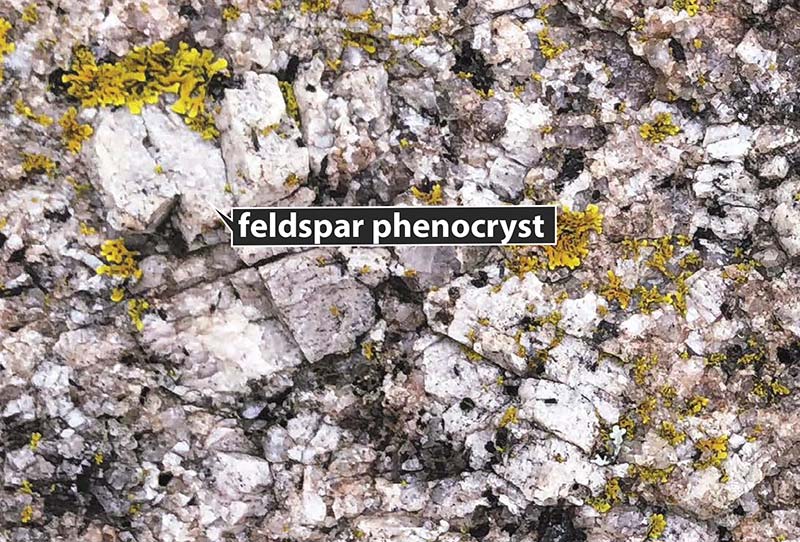 trousers point phenocrysts