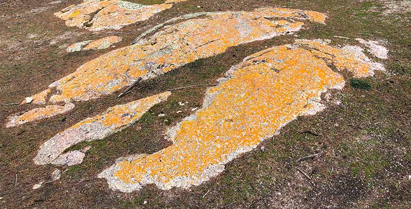 trousers point granites